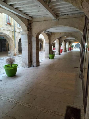 Appartement lumineux et calme vue sur le château